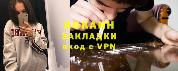 стафф Дмитриев