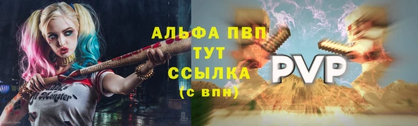 дживик Дмитров