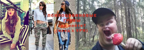 стафф Дмитриев