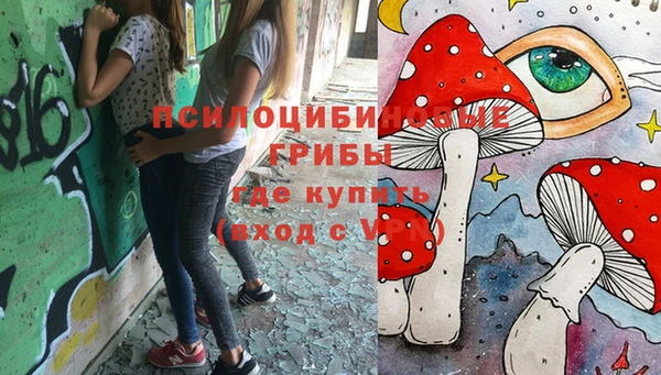 стафф Дмитриев