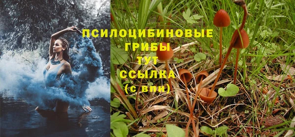 дживик Дмитров
