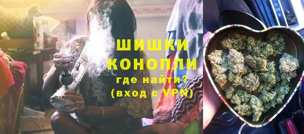 стафф Дмитриев