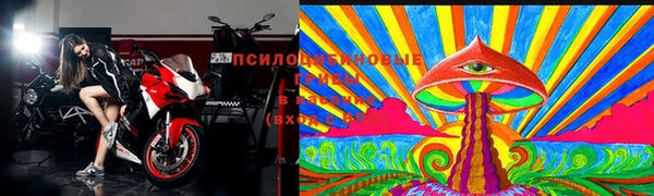 дживик Дмитров