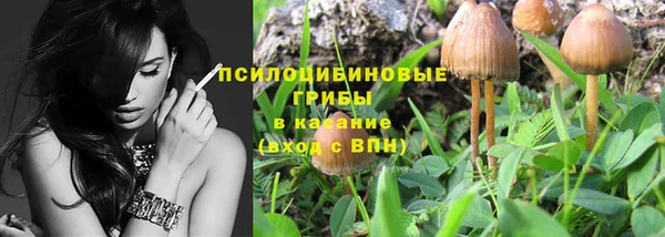шишки Усинск